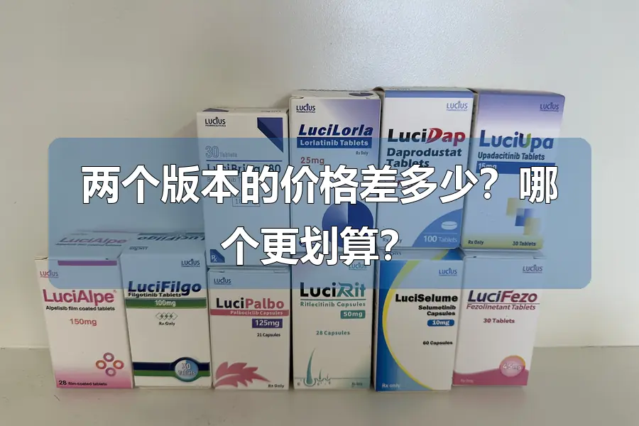 两个版本的价格差多少?哪个更划算?